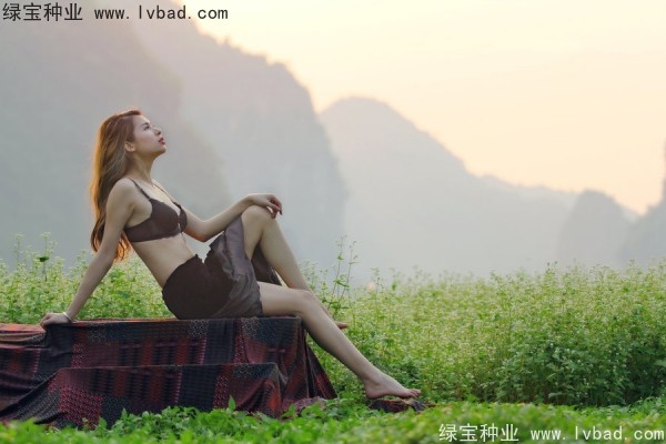 <a href='http://njszjj.com/yaocaizhongzi/2336.html' target='_blank'>甜蕎麥</a><a href='http://njszjj.com/' target='_blank'>種子</a>