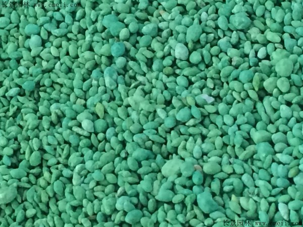 <a href='http://njszjj.com/shuicaozhongzi/1857.html' target='_blank'>金魚藻種子</a>圖片