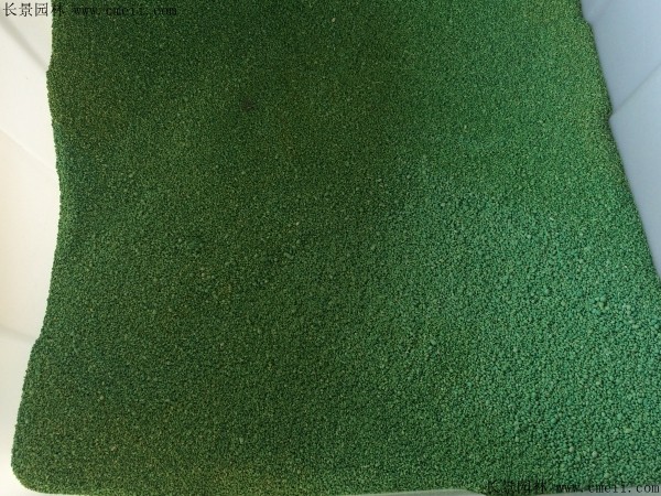 <a href='http://njszjj.com/shuicaozhongzi/1857.html' target='_blank'>金魚藻</a><a href='http://njszjj.com/' target='_blank'>種子</a>圖片