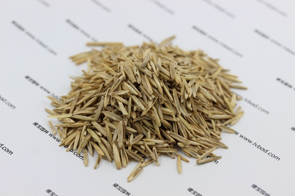 冰草<a href='http://njszjj.com/' target='_blank'>種子</a>