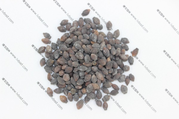 <a href='http://njszjj.com/caohuazhongzi/1658.html' target='_blank'>紫茉莉</a><a href='http://njszjj.com/' target='_blank'>種子</a>