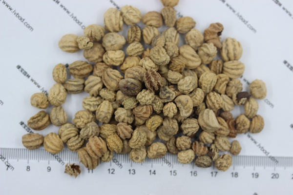 旱金蓮<a href='http://njszjj.com/' target='_blank'>種子</a>
