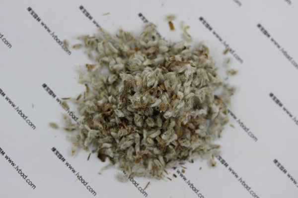 <a href='http://njszjj.com/caohuazhongzi/1652.html' target='_blank'>永生菊</a><a href='http://njszjj.com/' target='_blank'>種子</a>