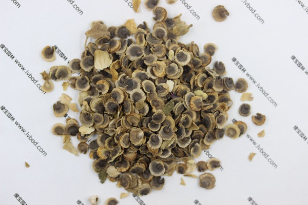 <a href='http://njszjj.com/caohuazhongzi/1625.html' target='_blank'>蜀葵</a><a href='http://njszjj.com/' target='_blank'>種子</a>