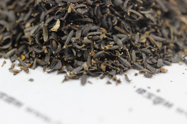 蛇目菊<a href='http://njszjj.com/' target='_blank'>種子</a>