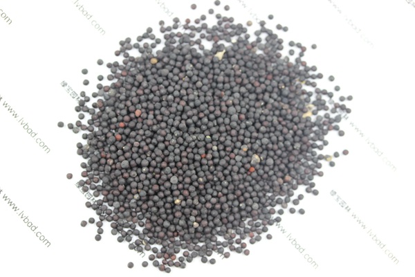 <a href='http://njszjj.com/caohuazhongzi/1595.html' target='_blank'>滿天星</a><a href='http://njszjj.com/' target='_blank'>種子</a>