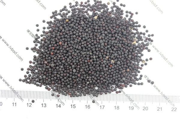 <a href='http://njszjj.com/caohuazhongzi/1595.html' target='_blank'>滿天星</a><a href='http://njszjj.com/' target='_blank'>種子</a>
