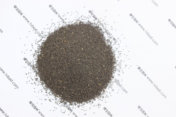 柳穿魚<a href='http://njszjj.com/' target='_blank'>種子</a>