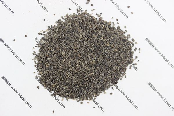 <a href='http://njszjj.com/caohuazhongzi/1581.html' target='_blank'>留蘭香薄荷種子</a>