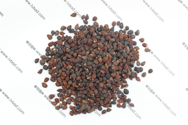 藍(lán)花<a href='http://njszjj.com/caohuazhongzi/1578.html' target='_blank'>鳶尾</a><a href='http://njszjj.com/' target='_blank'>種子</a>