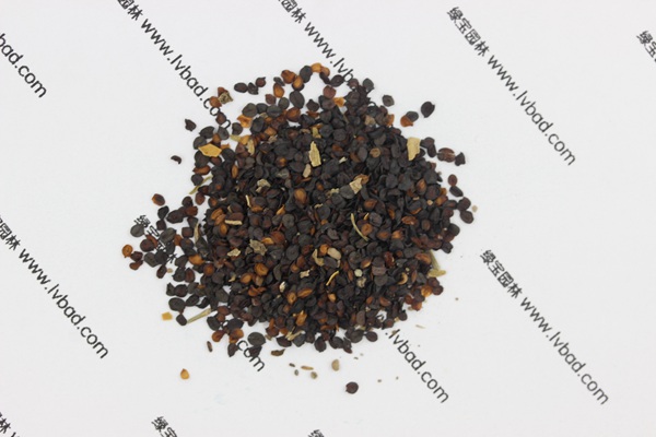 <a href='http://njszjj.com/caohuazhongzi/1574.html' target='_blank'>康乃馨</a><a href='http://njszjj.com/' target='_blank'>種子</a>