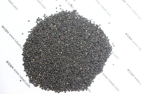 <a href='http://njszjj.com/caohuazhongzi/1076.html' target='_blank'>雞冠花</a><a href='http://njszjj.com/' target='_blank'>種子</a>