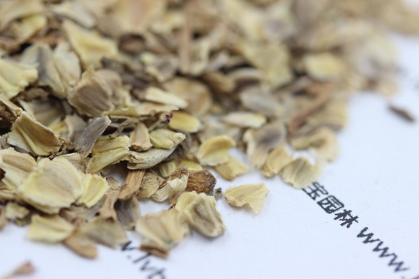 <a href='http://njszjj.com/caohuazhongzi/1067.html' target='_blank'>花環(huán)菊</a><a href='http://njszjj.com/' target='_blank'>種子</a>