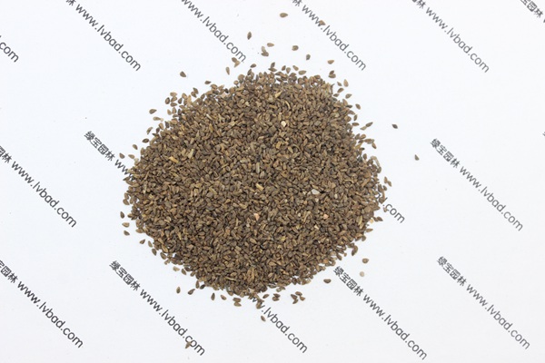 <a href='http://njszjj.com/caohuazhongzi/1056.html' target='_blank'>古代稀種子</a>