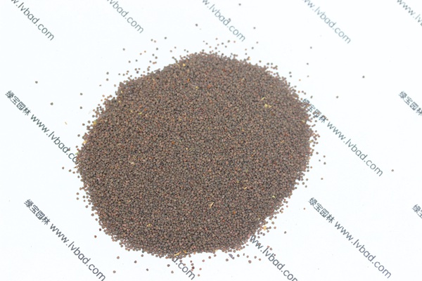 <a href='http://njszjj.com/caohuazhongzi/1053.html' target='_blank'>高雪輪種子</a>