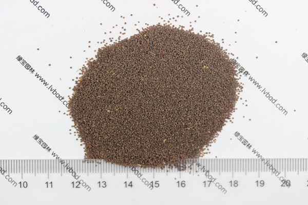 <a href='http://njszjj.com/caohuazhongzi/1053.html' target='_blank'>高雪輪種子</a>