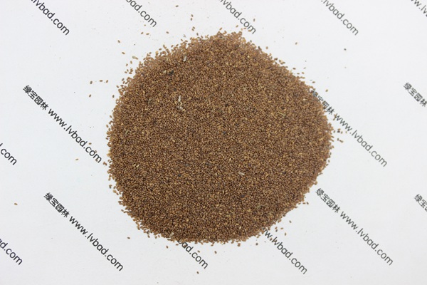 <a href='http://njszjj.com/caohuazhongzi/1049.html' target='_blank'>風(fēng)鈴花</a><a href='http://njszjj.com/' target='_blank'>種子</a>