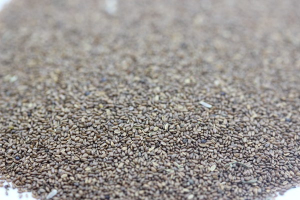 <a href='http://njszjj.com/caohuazhongzi/1049.html' target='_blank'>風(fēng)鈴花種子</a>