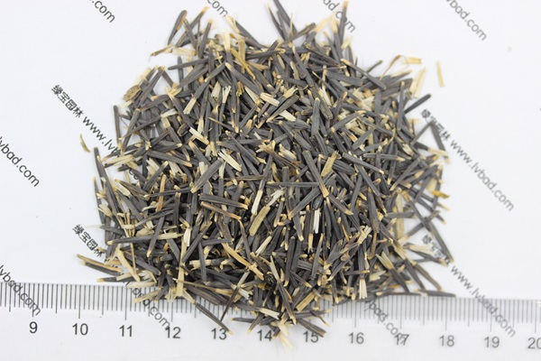 非洲<a href='http://njszjj.com/caohuazhongzi/1631.html' target='_blank'>萬壽菊種子</a>
