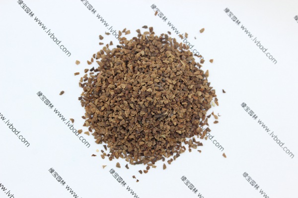 <a href='http://njszjj.com/caohuazhongzi/1042.html' target='_blank'>吊鐘柳</a><a href='http://njszjj.com/' target='_blank'>種子</a>
