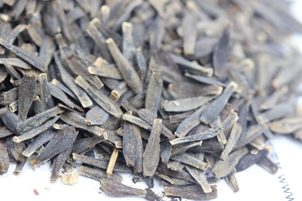 <a href='http://njszjj.com/caohuazhongzi/1038.html' target='_blank'>大麗花種子</a>