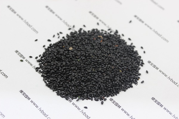 大花<a href='http://njszjj.com/caohuazhongzi/1586.html' target='_blank'>耬斗菜種子</a>