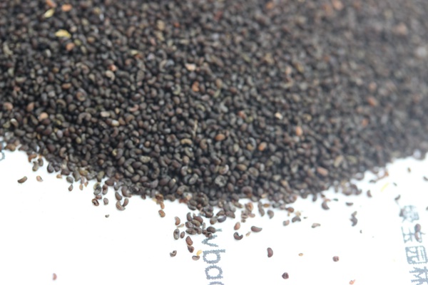 <a href='http://njszjj.com/caohuazhongzi/1025.html' target='_blank'>冰島虞美人種子</a>