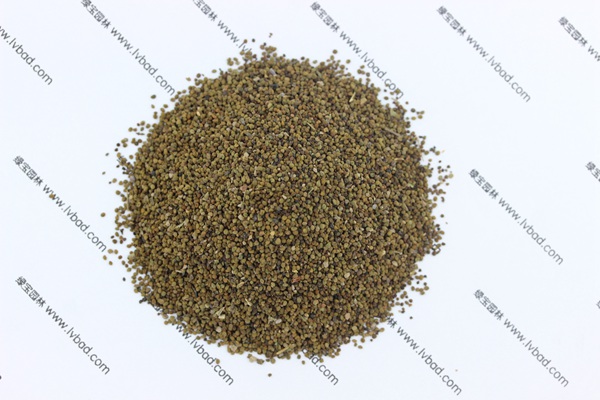 <a href='http://njszjj.com/caohuazhongzi/1022.html' target='_blank'>半枝蓮</a><a href='http://njszjj.com/' target='_blank'>種子</a>
