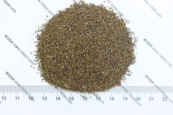 半枝蓮<a href='http://njszjj.com/' target='_blank'>種子</a>