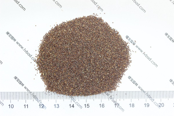 矮牽<a href='http://njszjj.com/' target='_blank'>種子</a>