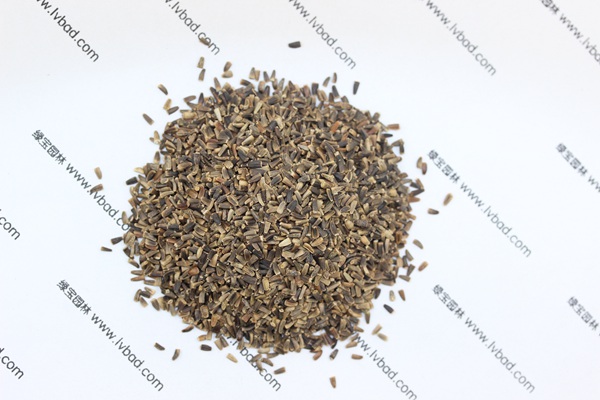 <a href='http://njszjj.com/mucaozhongzi/14254.html' target='_blank'>菊苣</a><a href='http://njszjj.com/' target='_blank'>種子</a>