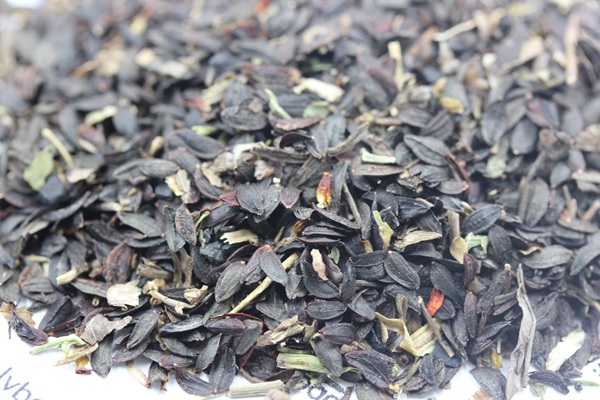 苦麥菜<a href='http://njszjj.com/' target='_blank'>種子</a>圖片