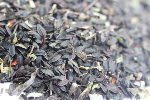苦麥菜<a href='http://njszjj.com/' target='_blank'>種子</a>圖片
