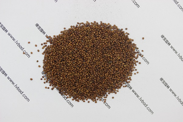 <a href='http://njszjj.com/mucaozhongzi/1682.html' target='_blank'>百脈根</a><a href='http://njszjj.com/' target='_blank'>種子</a>
