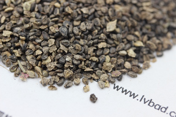 <a href='http://njszjj.com/caohuazhongzi/1041.html' target='_blank'>地膚種子</a>
