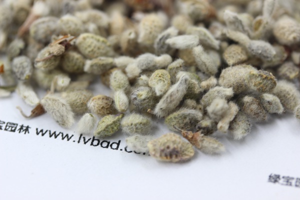<a href='http://njszjj.com/mucaozhongzi/1685.html' target='_blank'>花棒</a><a href='http://njszjj.com/' target='_blank'>種子</a>