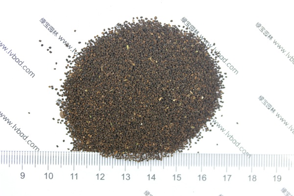 <a href='http://njszjj.com/caohuazhongzi/1569.html' target='_blank'>金魚草種子</a>