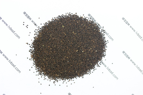 <a href='http://njszjj.com/caohuazhongzi/1569.html' target='_blank'>金魚草</a><a href='http://njszjj.com/' target='_blank'>種子</a>