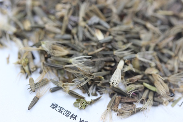 <a href='http://njszjj.com/caohuazhongzi/1620.html' target='_blank'>蛇鞭菊種子</a>