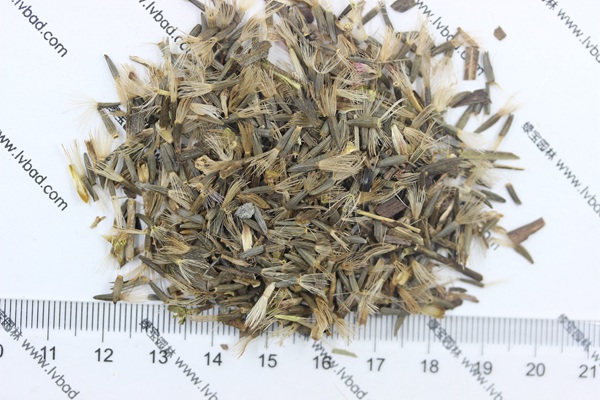 <a href='http://njszjj.com/caohuazhongzi/1620.html' target='_blank'>蛇鞭菊種子</a>