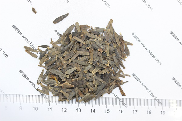 <a href='http://njszjj.com/caohuazhongzi/1642.html' target='_blank'>小麗花種子</a>