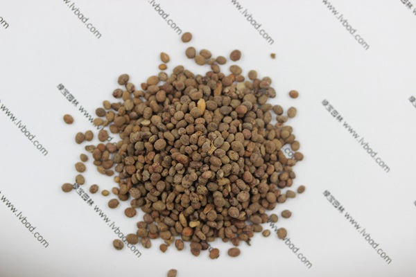 <a href='http://njszjj.com/caohuazhongzi/1655.html' target='_blank'>指甲花種子</a>