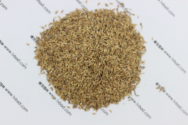 中華<a href='http://njszjj.com/caopingzhongzi/1671.html' target='_blank'>結縷草種子</a>