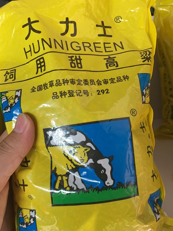 <a href='http://njszjj.com/mucaozhongzi/16575.html' target='_blank'>大力士甜高粱</a><a href='http://njszjj.com/' target='_blank'>種子</a>
