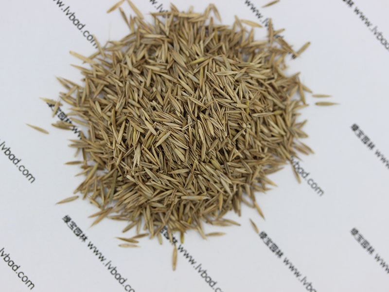 <a href='http://njszjj.com/caopingzhongzi/1681.html' target='_blank'>紫羊茅種子</a>