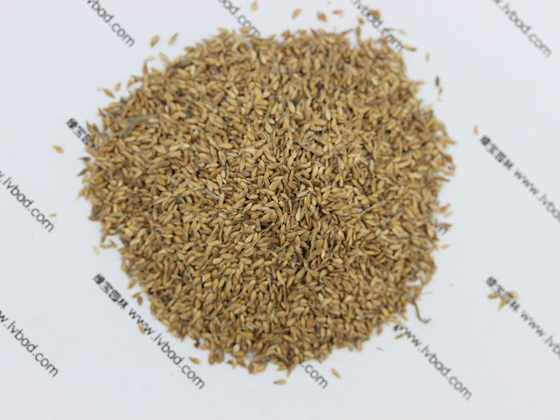 <a href='http://njszjj.com/caopingzhongzi/1671.html' target='_blank'>結(jié)縷草種子</a>