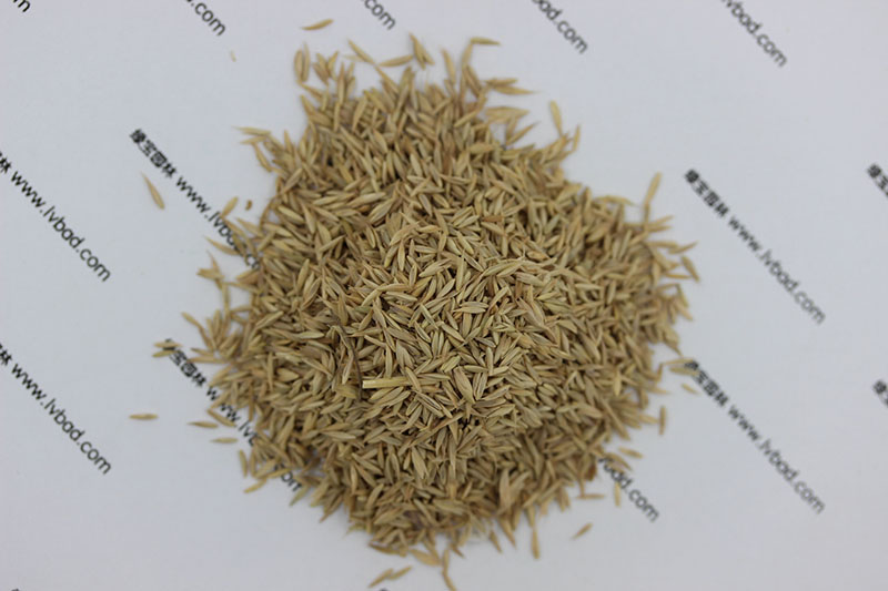 <a href='http://njszjj.com/mucaozhongzi/8.html' target='_blank'>鴨茅草種子</a>