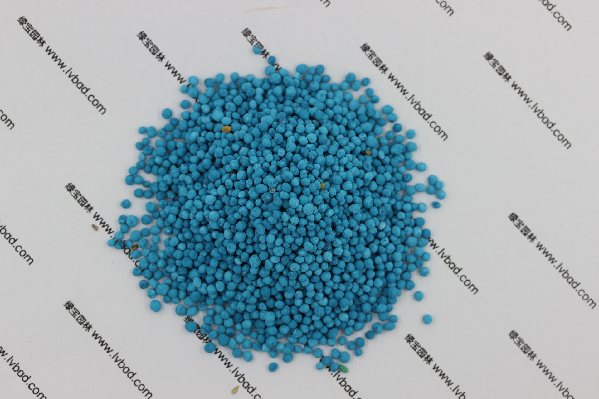 <a href='http://njszjj.com/caopingzhongzi/1672.html' target='_blank'>馬蹄金種子</a>