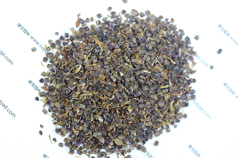 <a href='http://njszjj.com/caohuazhongzi/1568.html' target='_blank'>金雞菊種子</a>