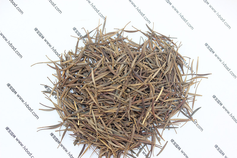 <a href='http://njszjj.com/caohuazhongzi/1583.html' target='_blank'>硫華菊種子</a>